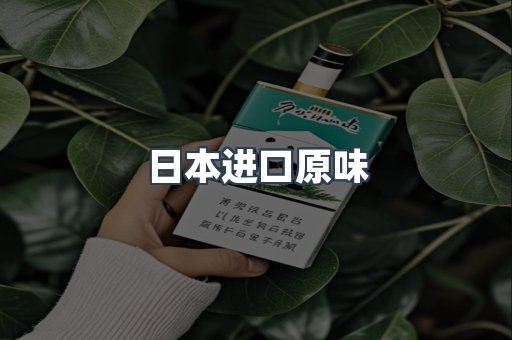 日本进口原味